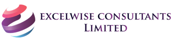 excelwise-logo